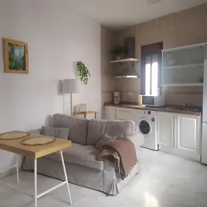 https://estudio-cntrico-seville.es-andalucia.com